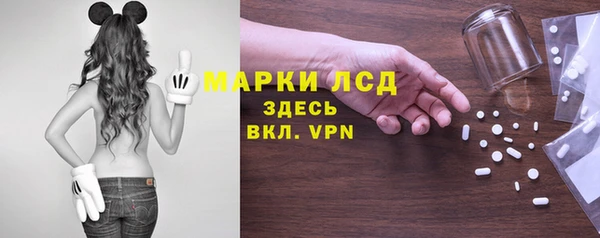 spice Бикин