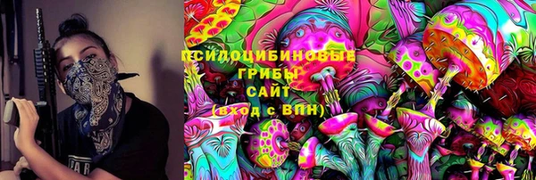 mdma Новозыбков