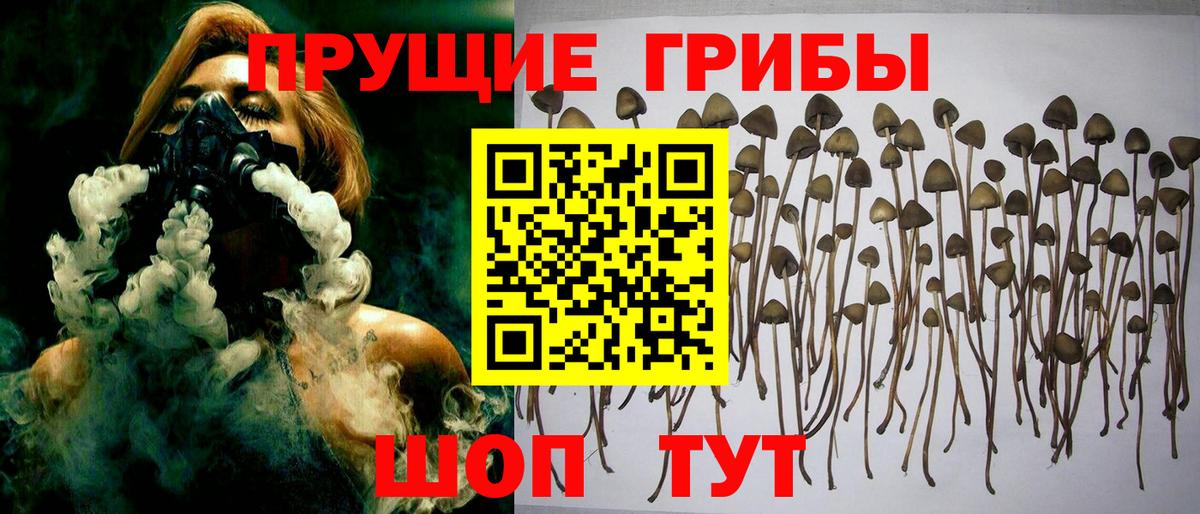 Галлюциногенные грибы MAGIC MUSHROOMS Кыштым