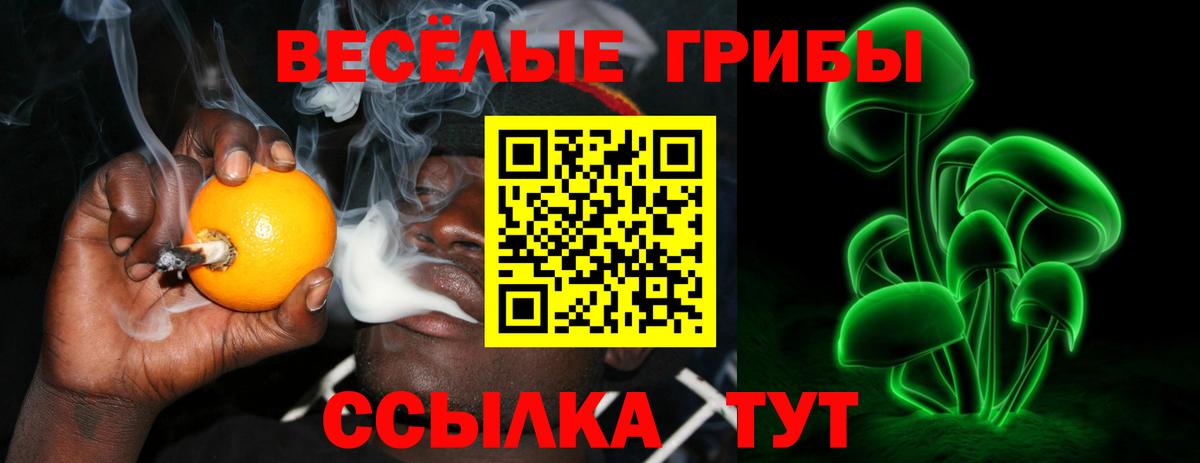 Кыштым  Псилоцибиновые грибы GOLDEN TEACHER  Вход с VPN  Псилоцибиновые грибы мицелий 